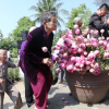 1.500 đóa hoa sen tưởng niệm 504 nạn nhân thảm sát Mỹ Lai