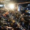 Hàng trăm xe cháy rụi trong hầm chung cư 13 người chết ở Sài Gòn