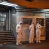COVID-19: Hong Kong xác nhận trường hợp thú nuôi nhiễm SARS-CoV-2
