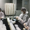 Hàn Quốc chế tạo hàng trăm ngàn kit thử virus corona trong 3 tuần thế nào?