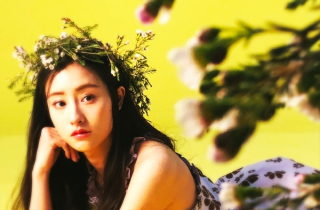 Nhan sắc diễn viên đóng Tiểu Long Nữ