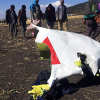 Ethiopia hôm nay công bố báo cáo sơ bộ tai nạn Boeing 737 MAX