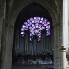 Quá trình phục dựng Nhà thờ Đức Bà Paris có thể mất hàng thập kỷ