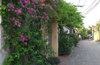 Cảnh báo nguy cơ lây nhiễm khi về quê dịp Tết Thanh minh