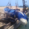 Cá voi 10 tấn được đưa vào bờ an táng