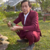 Danh hài Hoài Linh đạt nút vàng Youtube sau 2 tháng 11 ngày