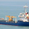 Bà Rịa - Vũng Tàu: 12 thuyền viên tàu Dai Duong Sea dương tính với SARS-CoV-2