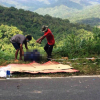 Rúng động chồng giết vợ, đốt xác phi tang ở Lâm Đồng