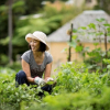 Làm vườn hàng ngày có thể giúp bạn mạnh khỏe