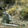 UAV Israel rơi không rõ lý do trên lãnh thổ Syria