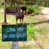 Dự án Sài Gòn Safari gây thất thoát hơn 100 tỷ đồng