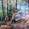 Cháy rừng tiếp tục diễn biến phức tạp ở Diễn Châu