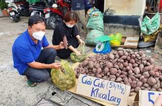 Chống dịch và chống ế