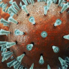 Biến chủng Delta của virus corona ở TP.HCM nguy hiểm thế nào?