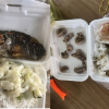 Người cách ly ở Tiền Giang bức xúc khi bữa ăn chỉ có con cá rô và ít rau