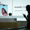 Sáu tuần chìm trong căng thẳng của Huawei