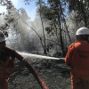 Cháy lớn trên bán đảo Sơn Trà, hơn 8 hecta rừng bị thiêu rụi