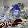 Tổ chức Y tế thế giới quan ngại về tốc độ lây lan của đại dịch