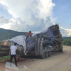 Dậy sóng hình ảnh xe tải chở cây cổ thụ khổng lồ ở Nghệ An