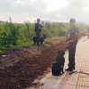 10 chó nghiệp vụ lùng sục tên cướp trong bãi sậy ven Sài Gòn