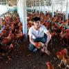 Cử nhân luật ở Quảng Trị về quê mở trại nuôi gà, lãi ròng 250 triệu mỗi năm