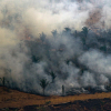 G7 chi hơn 20 triệu USD chữa cháy rừng Amazon