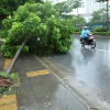 Dự báo thời tiết 27/8, Hà Nội mưa dông gió giật