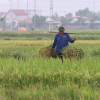 Miền Trung ứng phó bão Podul