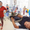Người đàn ông ôm rắn vào bệnh viện cấp cứu: Liều mạng kiếm tiền nộp học cho con