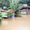 Mưa lũ cuốn trôi, làm hư hại gần 1.500 ngôi nhà ở Sơn La