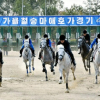 Triều Tiên cho đặt cược đua ngựa nhằm thu thêm ngoại tệ