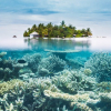 10 hòn đảo tuyệt nhất thế giới để bơi và lặn biển