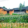 Homestay ở Hà Giang cho mùa săn hoa tam giác mạch