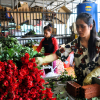 Hoa hồng Đà Lạt tăng giá gấp ba