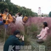Khách Trung Quốc giẫm nát vườn cỏ hồng để tranh chỗ chụp ảnh