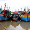Hơn nghìn tàu cá ở Bà Rịa - Vũng Tàu nằm bờ vì thua lỗ