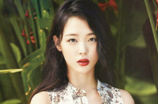 Thời thơ ấu trải hoa hồng của Sulli