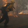 California ban bố tình trạng khẩn cấp vì cháy rừng