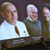 Nobel Y Sinh cho ba nhà khoa học phát hiện virus viêm gan C