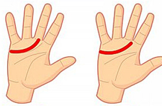 Đường chỉ tay tiết lộ điều gì về bạn