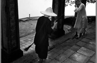 Nhặt lá rụng trong tâm