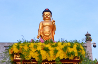 Tuệ giác bình an