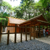 Ngôi đền thiêng cứ 20 năm được xây lại một lần ở Nhật
