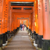Chiêm ngưỡng ngôi đền cổ nghìn cổng Fushimi Inari ở Nhật Bản