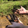 Cận cảnh bùn thải nghi nhiễm dầu tại cửa súc xả bể chứa sông Đà