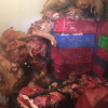Đột kích, triệt phá đường dây kinh doanh thịt nhiễm tả lợn châu Phi