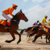 Hà Nội dự kiến mỗi năm thu 250 triệu USD thuế từ trường đua ngựa