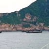 Bảy tàu Trung Quốc chở 500 tấn nội tạng động vật bị tạm giữ