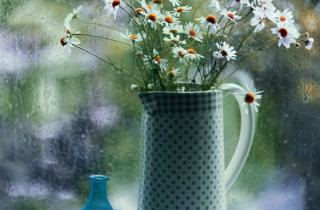 Tử vi hôm nay 3/12: Tuổi Tý tài lộc dồi dào, tuổi Thân gặp nhiều phiền hà