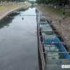 Tổ chức Nhật sẵn sàng đầu tư 100% chi phí làm sạch sông Tô Lịch, Hồ Tây